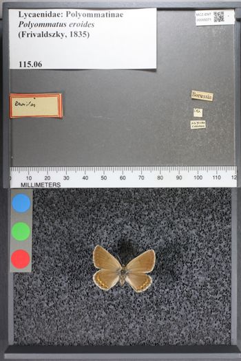 Media type: image;   Entomology 55371